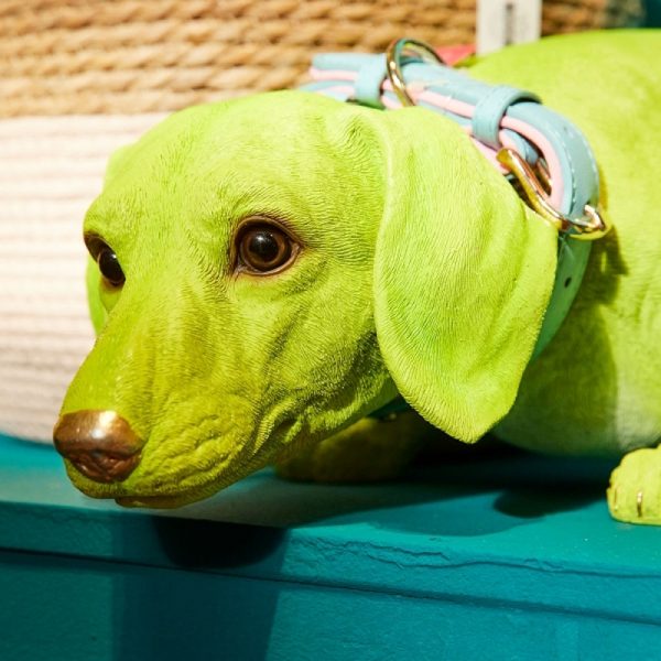 Hund "Dackel" Grün mit Leder Halsband