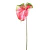 Anthurie  große Blüte "kunstvoll"