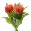 Tulpen Bund 30cm Salmon "kunstvoll"