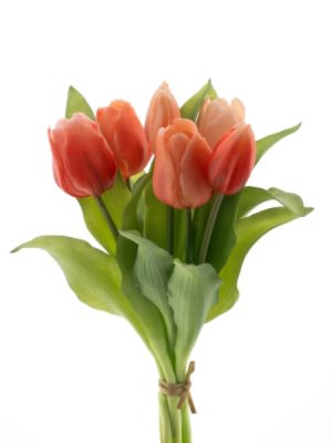 Tulpen Bund 30cm Salmon "kunstvoll"