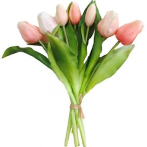 Tulpen Bund 30cm Apricot "kunstvoll"