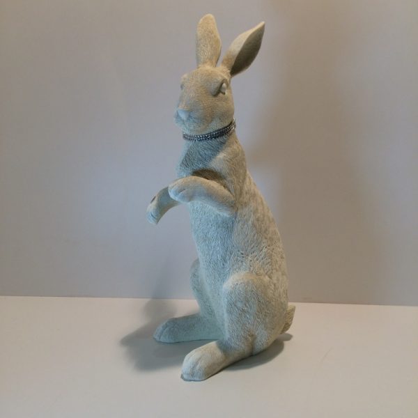 Hase Strass