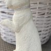 Hase Strass