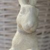 Hase Strass
