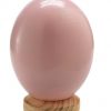 Straußenei Südafrika 15cm pink / rosa