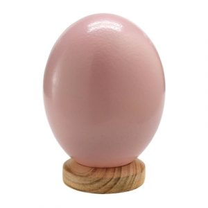 Straußenei Südafrika 15cm pink / rosa