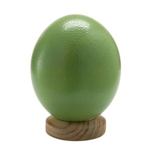 Straußenei Südafrika 15cm grün