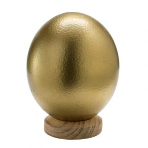 Straußenei Südafrika 15cm gold