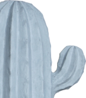 Kaktus_67670_200_Detailbild_1 Kaktus - zementgrau - H 136 cm