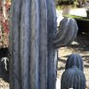 Kaktus_Stone_Gruppenbild_Laden_1 Kaktus - zementgrau - H 136 cm